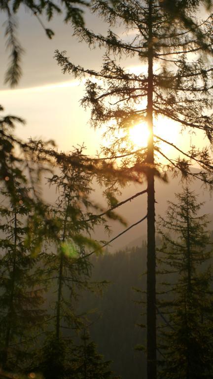 Naturhotel Ortners Eschenhof Bad Kleinkirchheim Eksteriør bilde